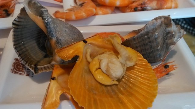 大虾扇贝海螺