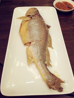 黄花鱼