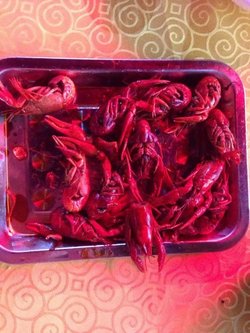 麻辣龙虾