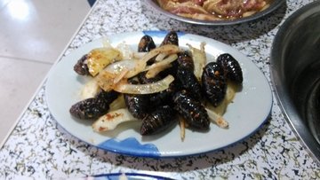 茧蛹