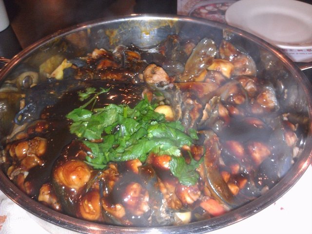 鲶鱼