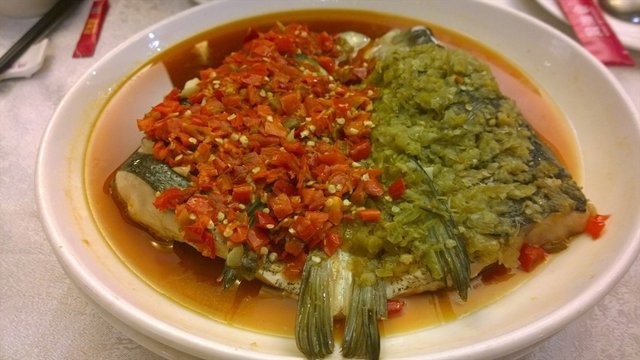 双色鱼头
