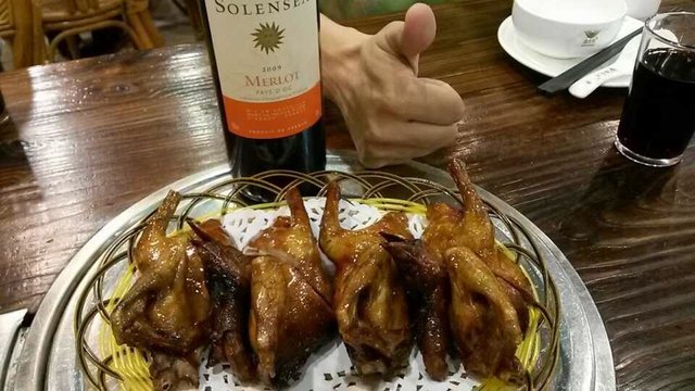 红烧乳鸽