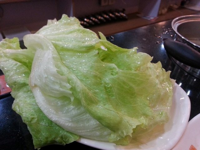 圆生菜