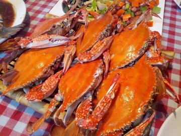 清蒸冬蟹