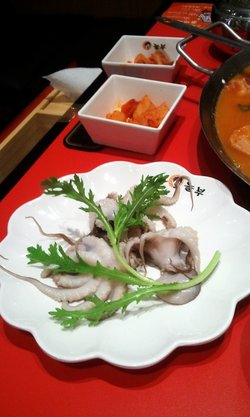 八爪鱼
