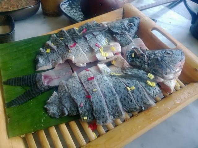 罗非鱼