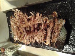 皮皮虾