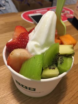 冻酸奶