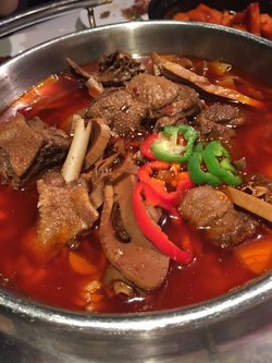 馋嘴鸭