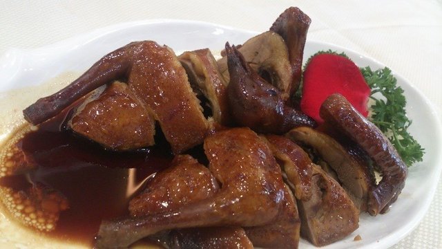卤水乳鸽