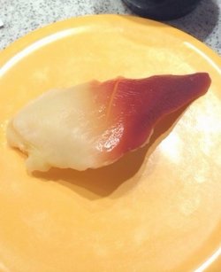 北极贝
