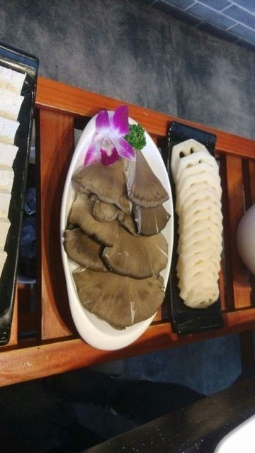 蘑菇