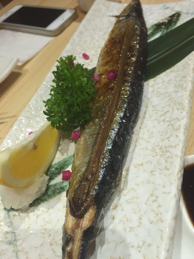 秋刀鱼