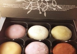 摩提