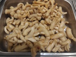 香肠