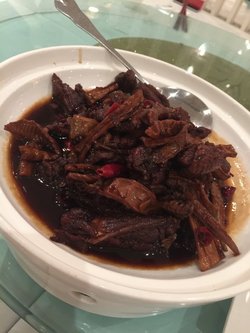 风月神马鸭