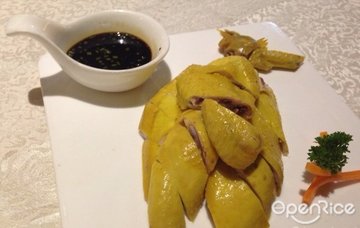 苏北草鸡