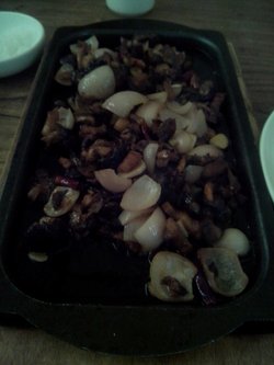 铁板菌菇