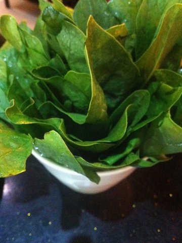 菠菜