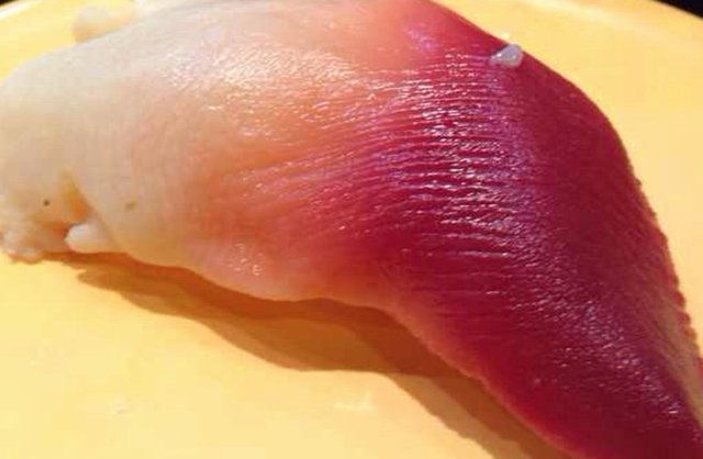 北极贝