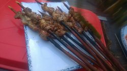 红柳羊肉串