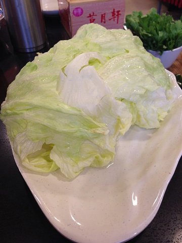 圆生菜