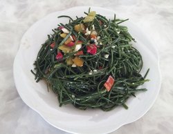 沙葱