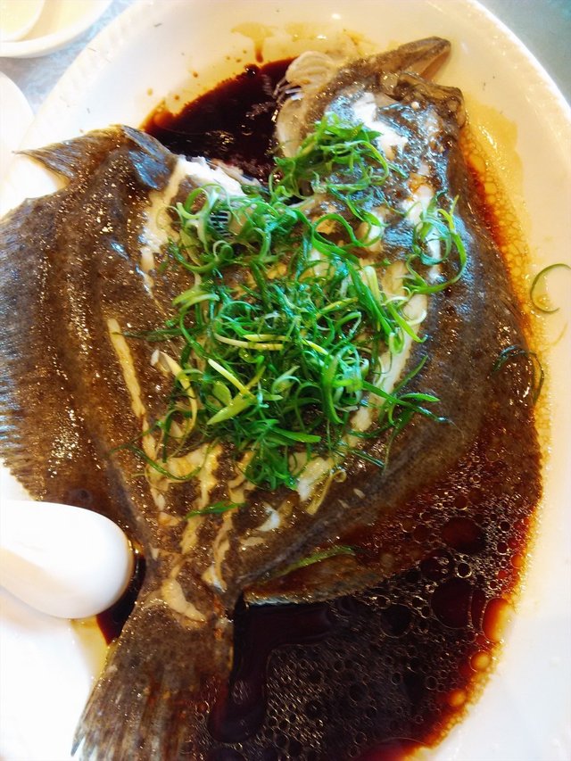 多宝鱼