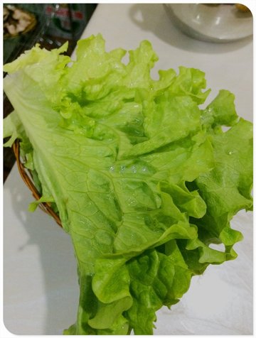 生菜
