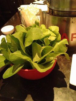 青菜