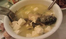 鲫鱼豆腐汤