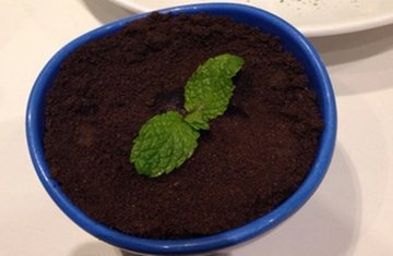 盆栽提拉米苏