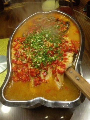 龙俐鱼爱上鸦片鱼