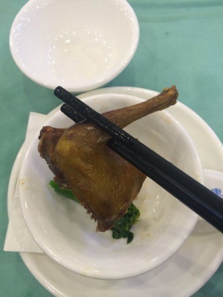 红烧乳鸽