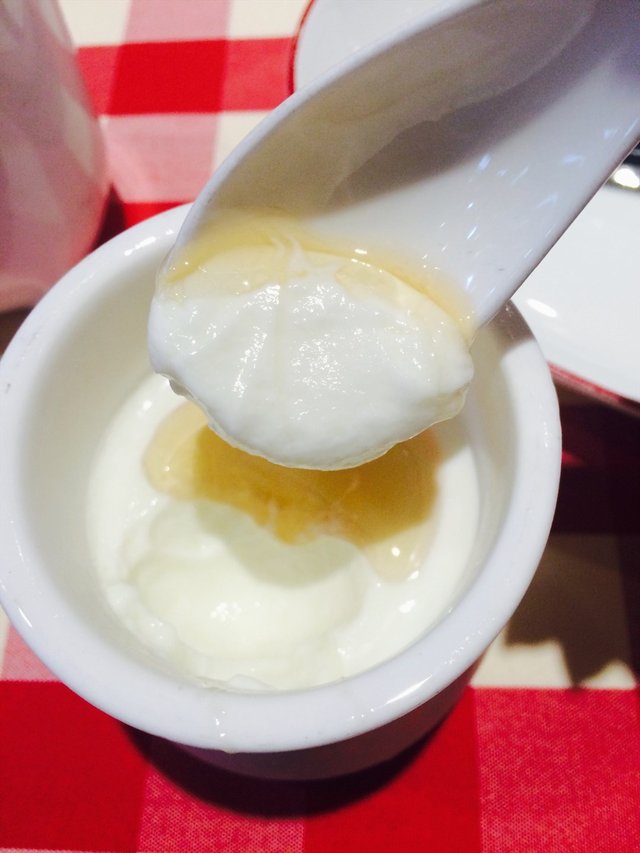 自制酸奶