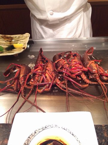 波士顿龙虾