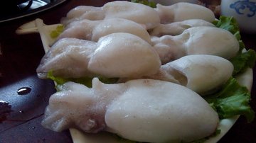 小墨鱼