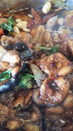 鲶鱼