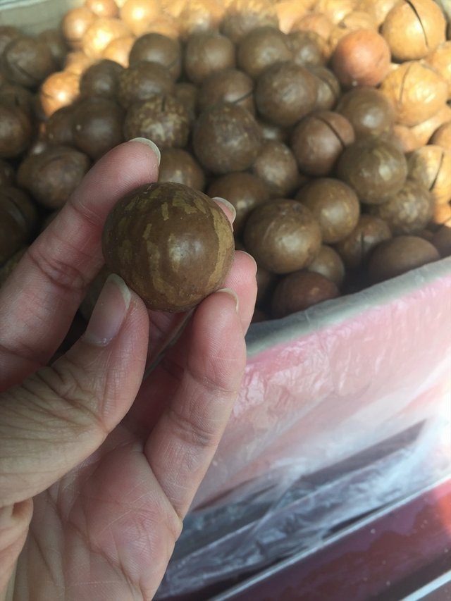 夏威夷果