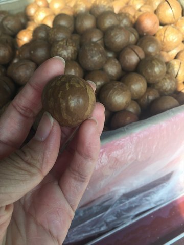 夏威夷果