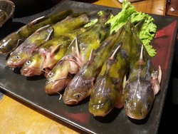 黄辣丁