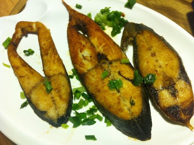 下龙湾大马鲛鱼