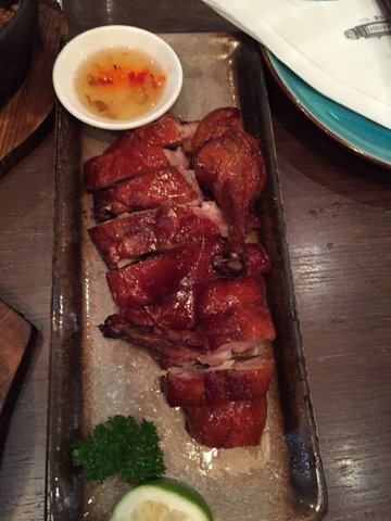 琵琶鸭