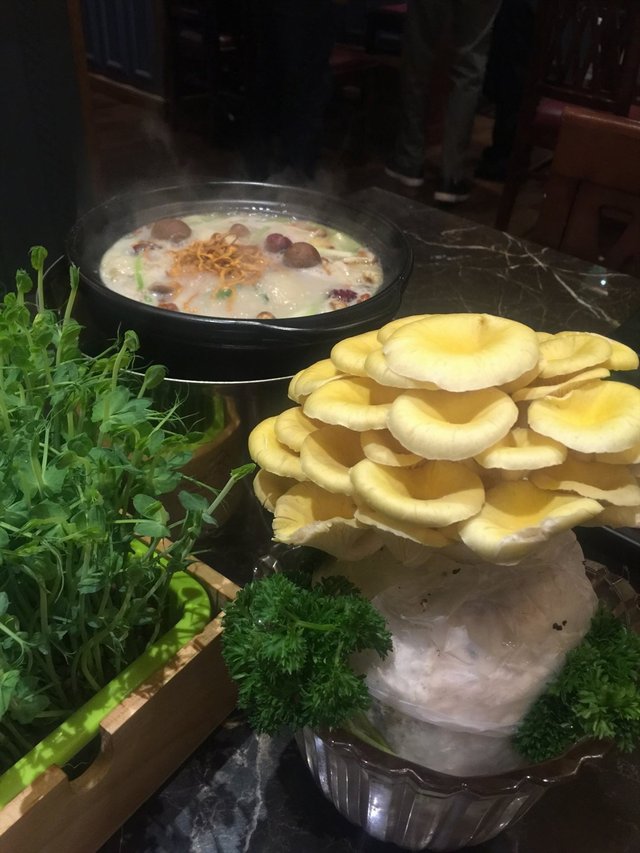 菌菇