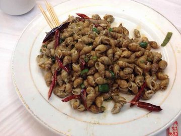 酱爆小海螺