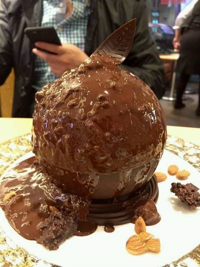 比利时绽放