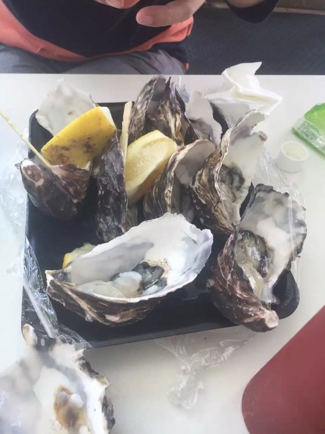 生蚝