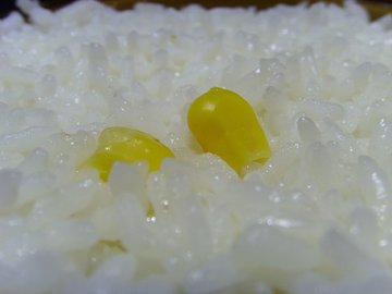 米饭