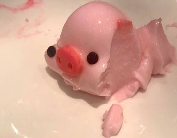 小財豬布丁